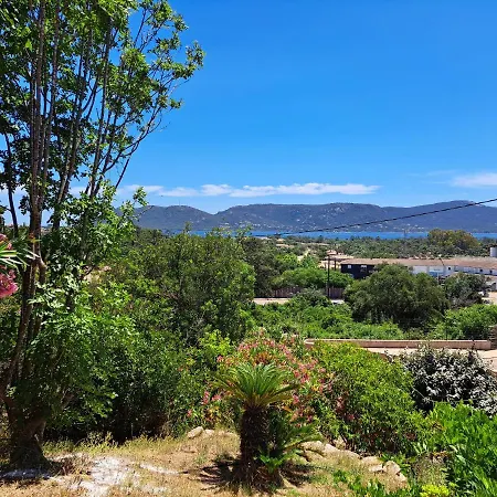 Les Asphodeles, Piscine , Vue Et Montagne Porto-Vecchio (Corsica)